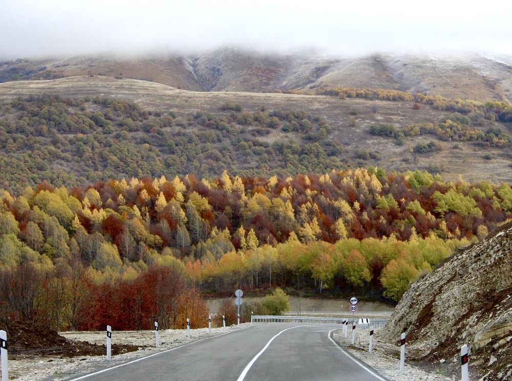 Фотография автора Mariam Martiashvili