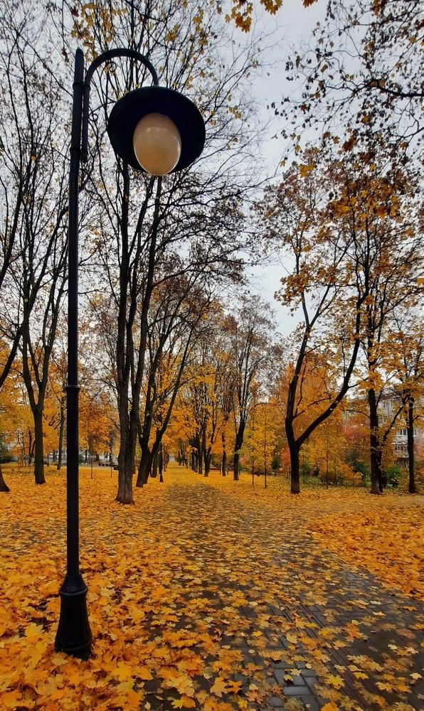 Фотография автора Ольга Кунакова