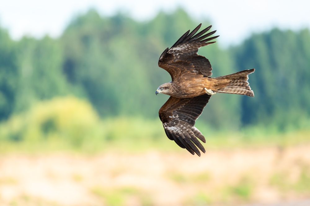 Photograph by Андрей Клыпин