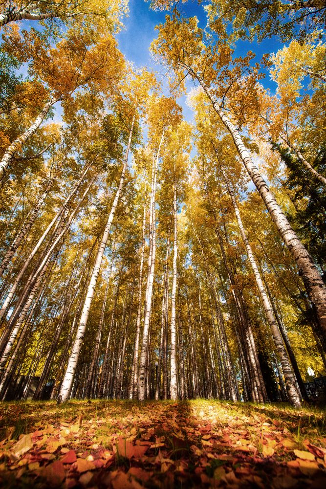 Photograph by Евгений Жуланов