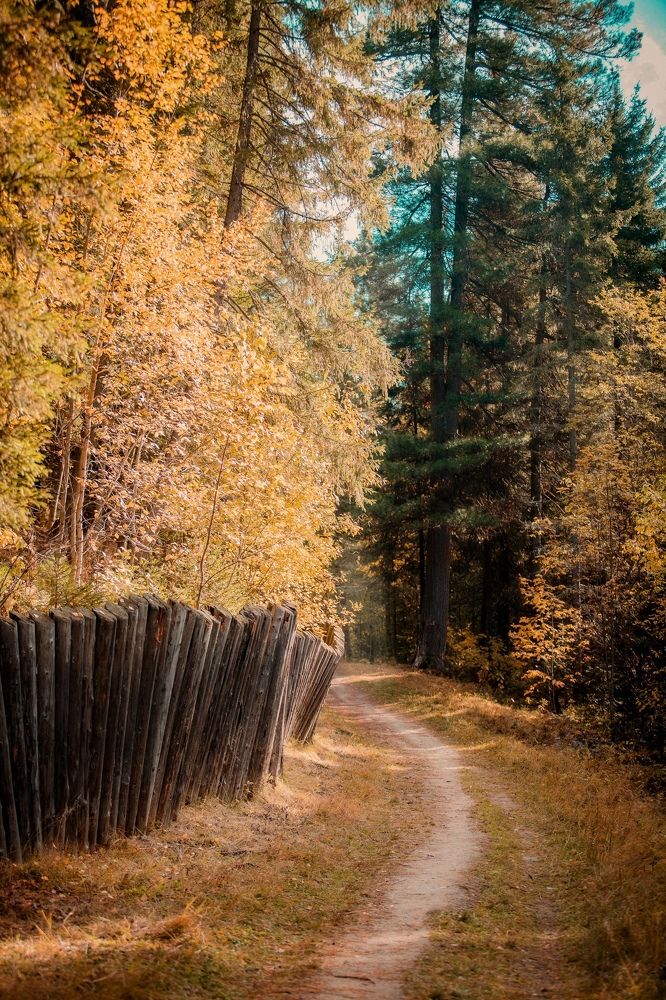 Photograph by Евгений Жуланов