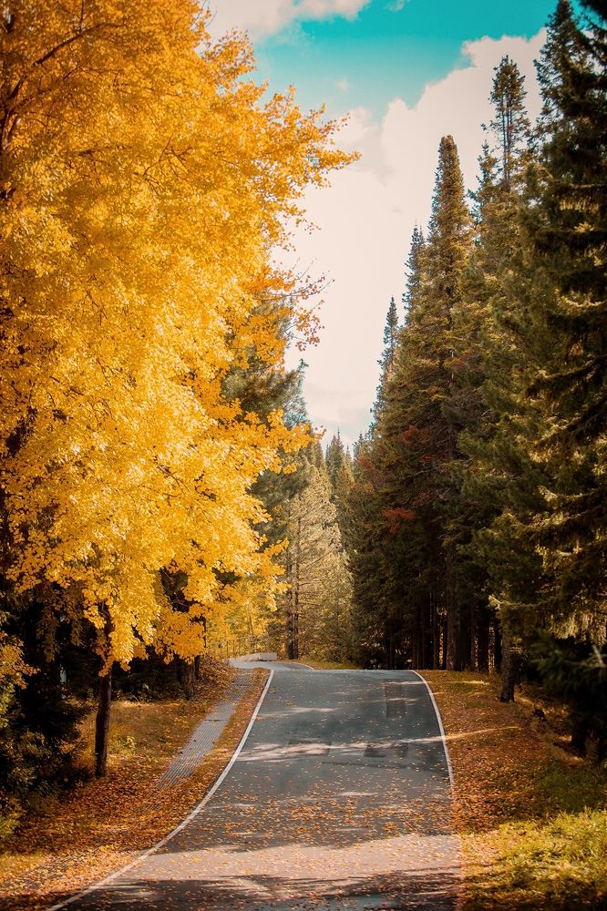 Photograph by Евгений Жуланов