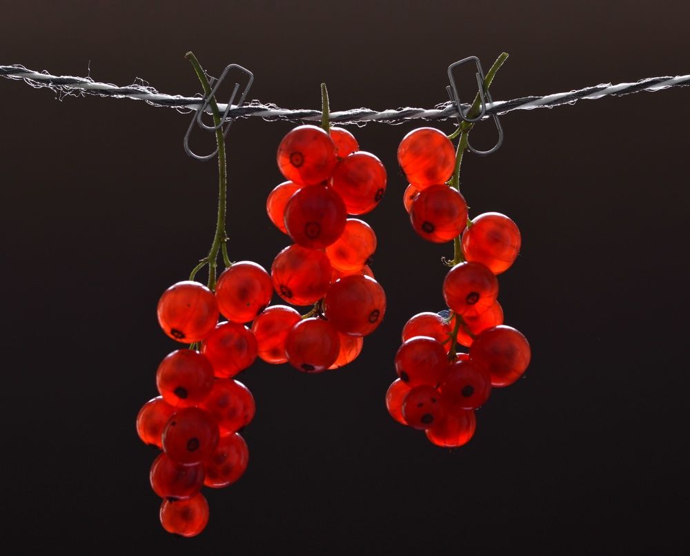 Фотография автора Evgeniya Fedorova