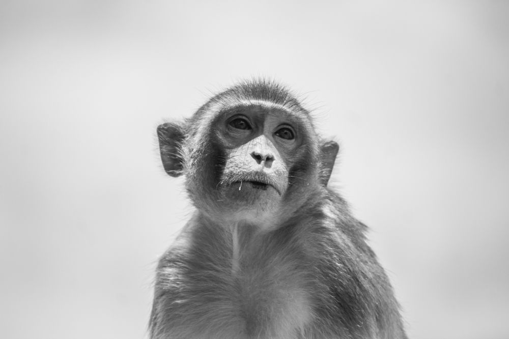 Photograph by Anshuman Tiwari