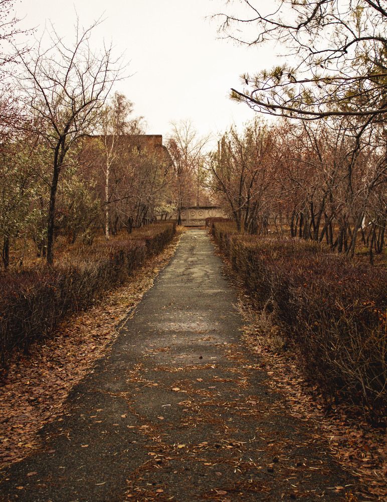 Photograph by Евгений Альмухаметов