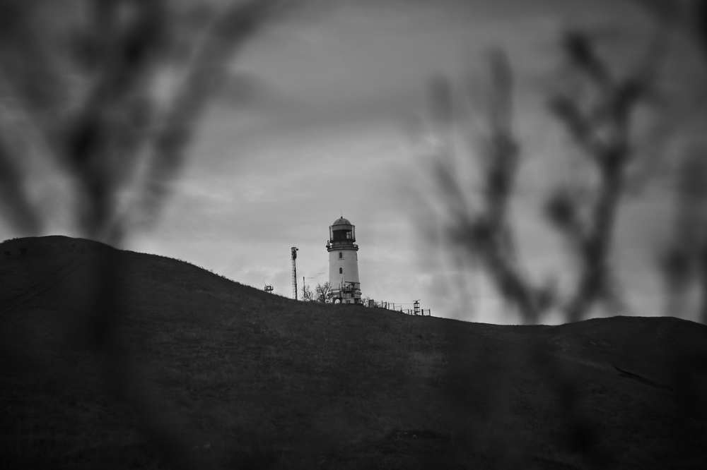 Photograph by Дарья