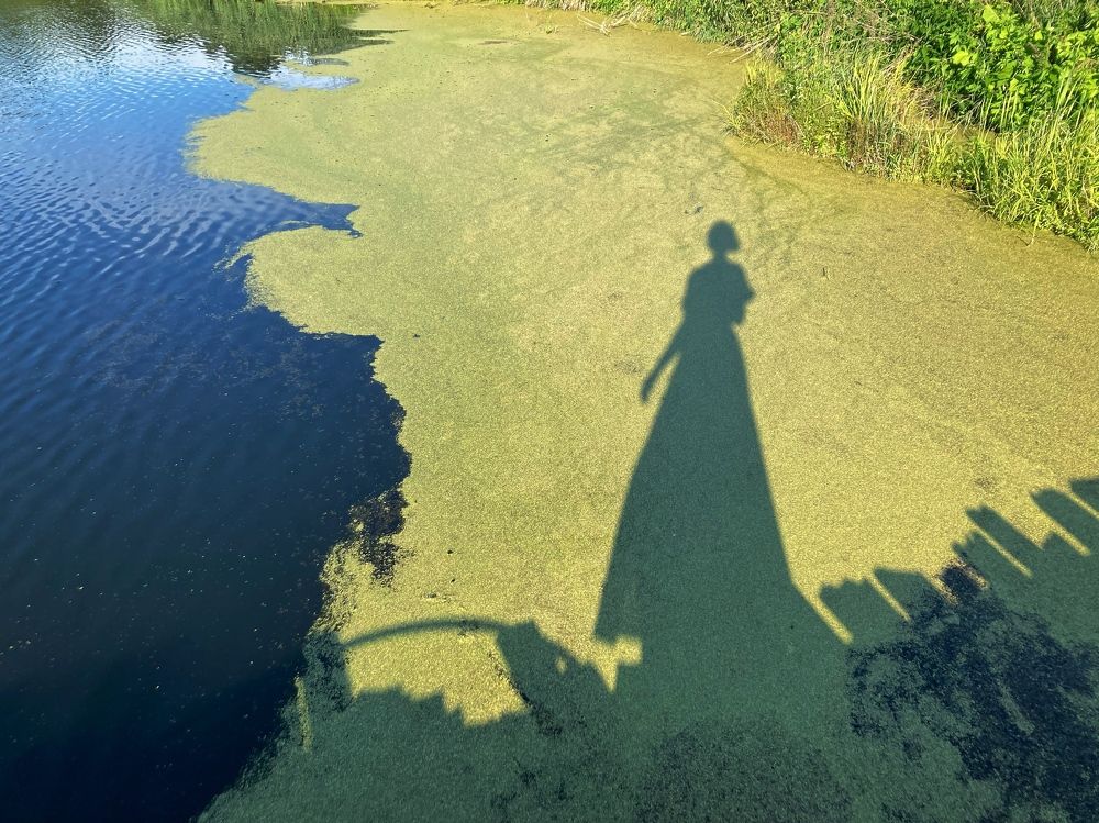 Photograph by Виктория Горельченко