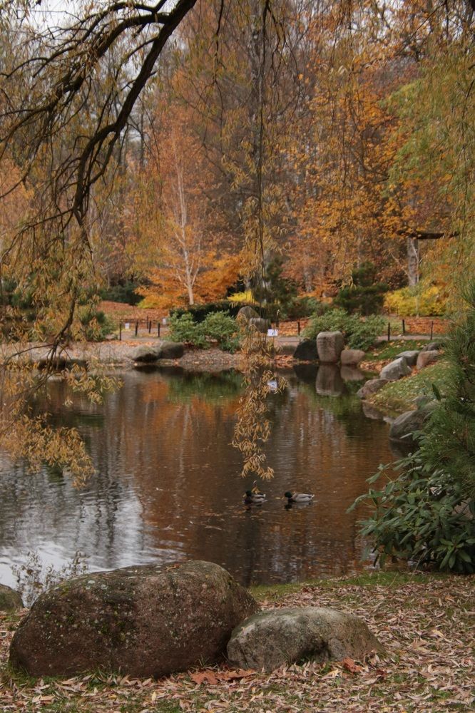 Photograph by Елена Шавшина