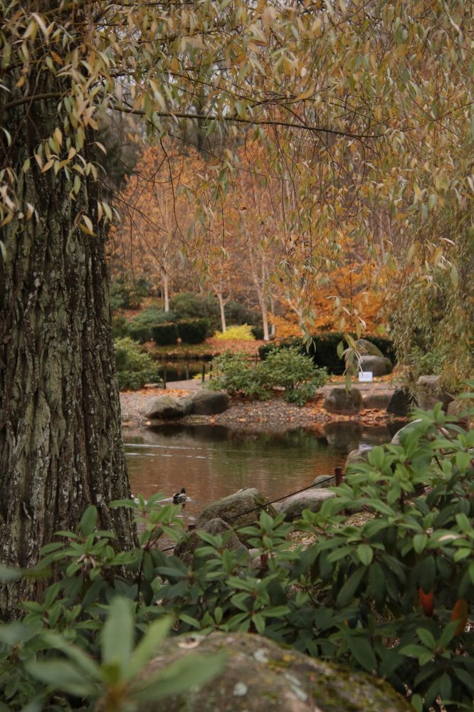 Photograph by Елена Шавшина