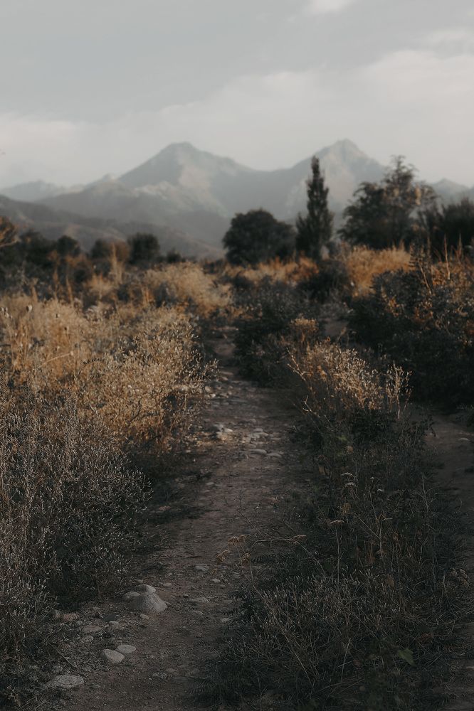 Photograph by Инесса Юровских