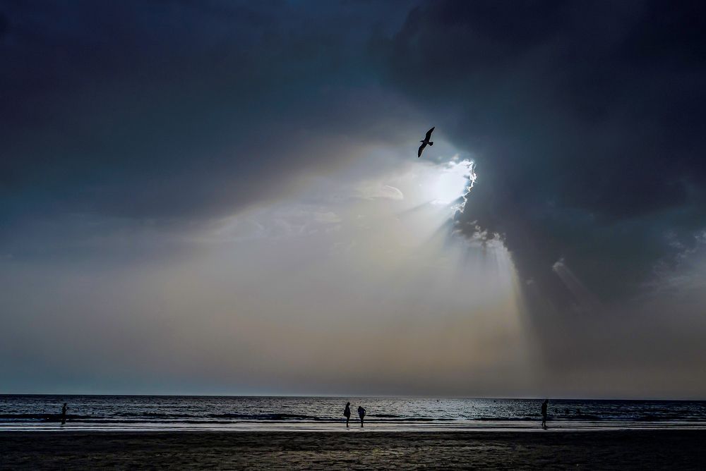 TORMENTA EN LA PLAYA CON PÁJARO