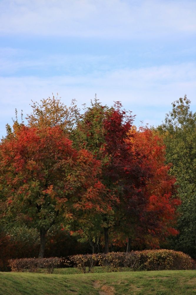 Photograph by Юлия Кулиева