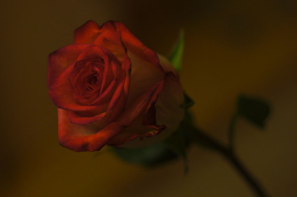 Photograph by Илья