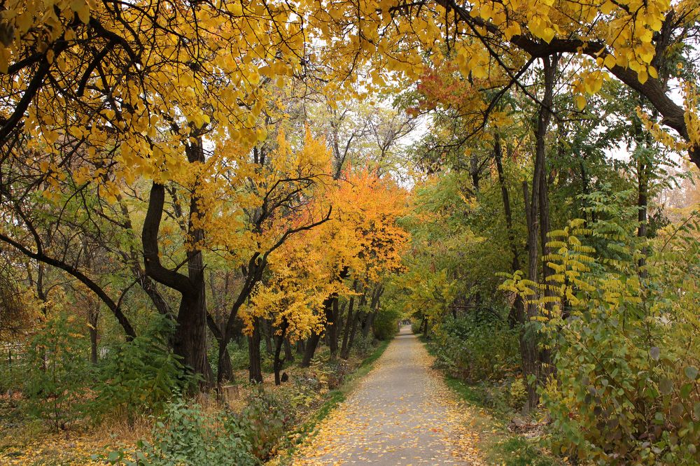 Photograph by Inessa Botasheva