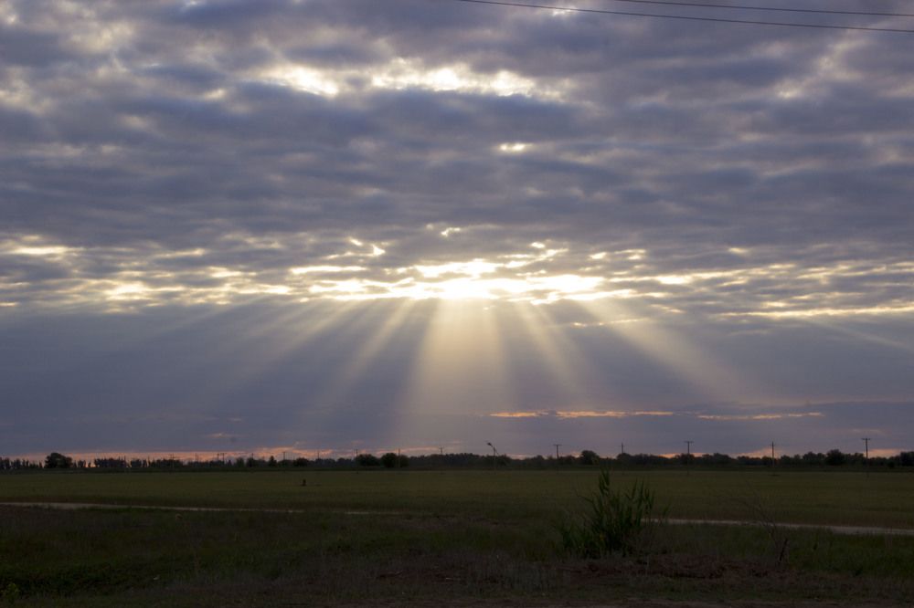 Photograph by Алёна Дёмочкина
