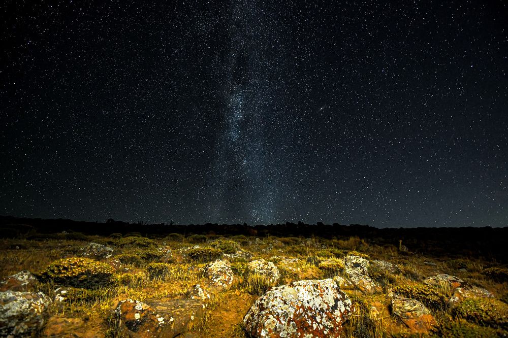 Photograph by davood vajdi