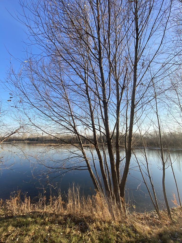 Photograph by Марина Толстопятова