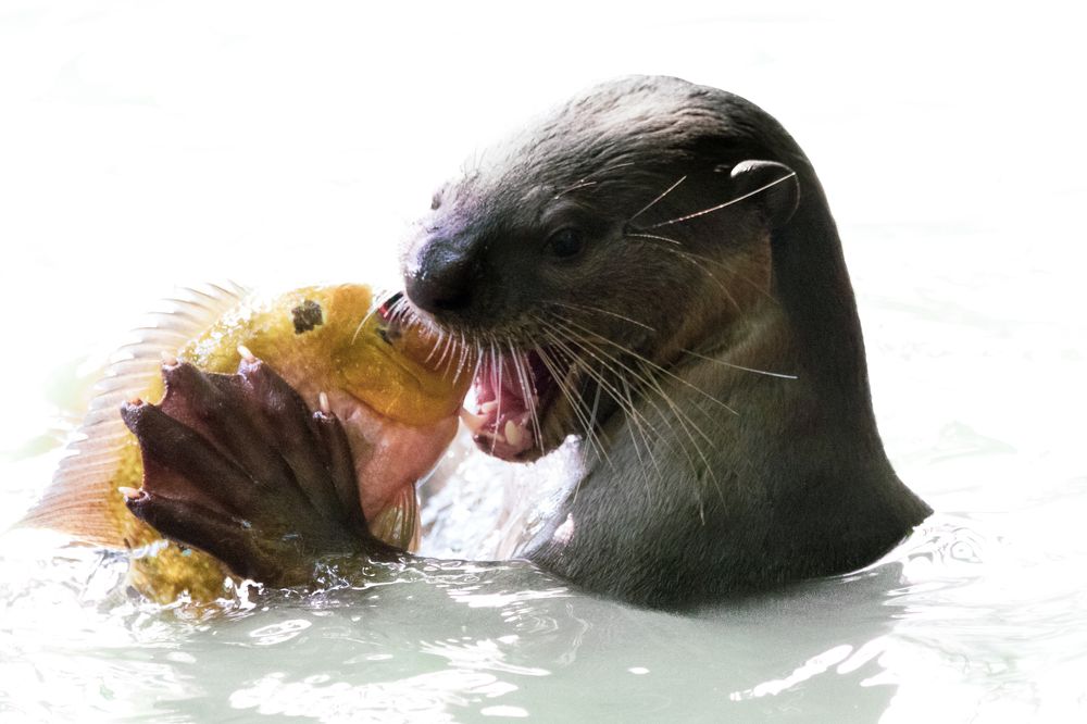 Photograph by Ishaan Shrimali