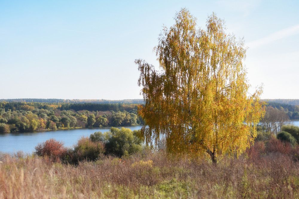 Фотография автора Екатерина Шаманаева