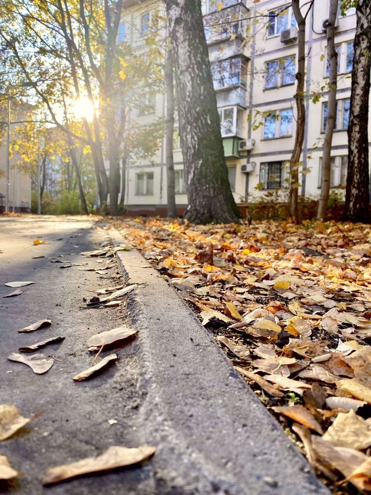 Photograph by Екатерина Василькова