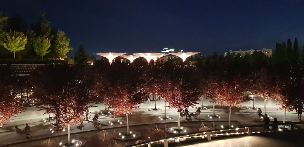 Фотография автора Ольга Мусина