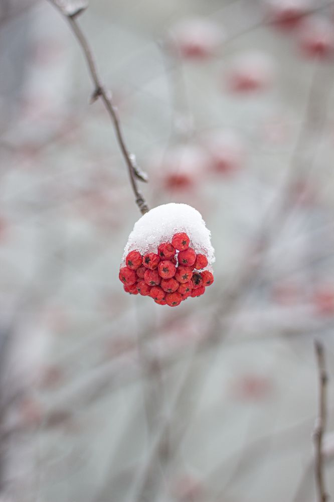 Photograph by Наиль Шакиров