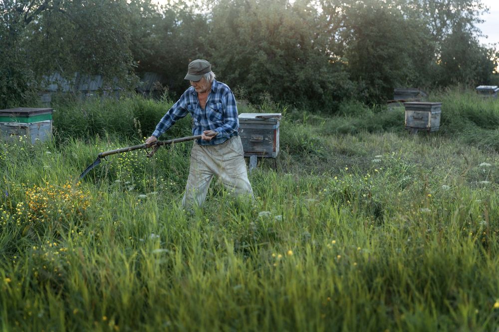 Photograph by Анна Идоленко