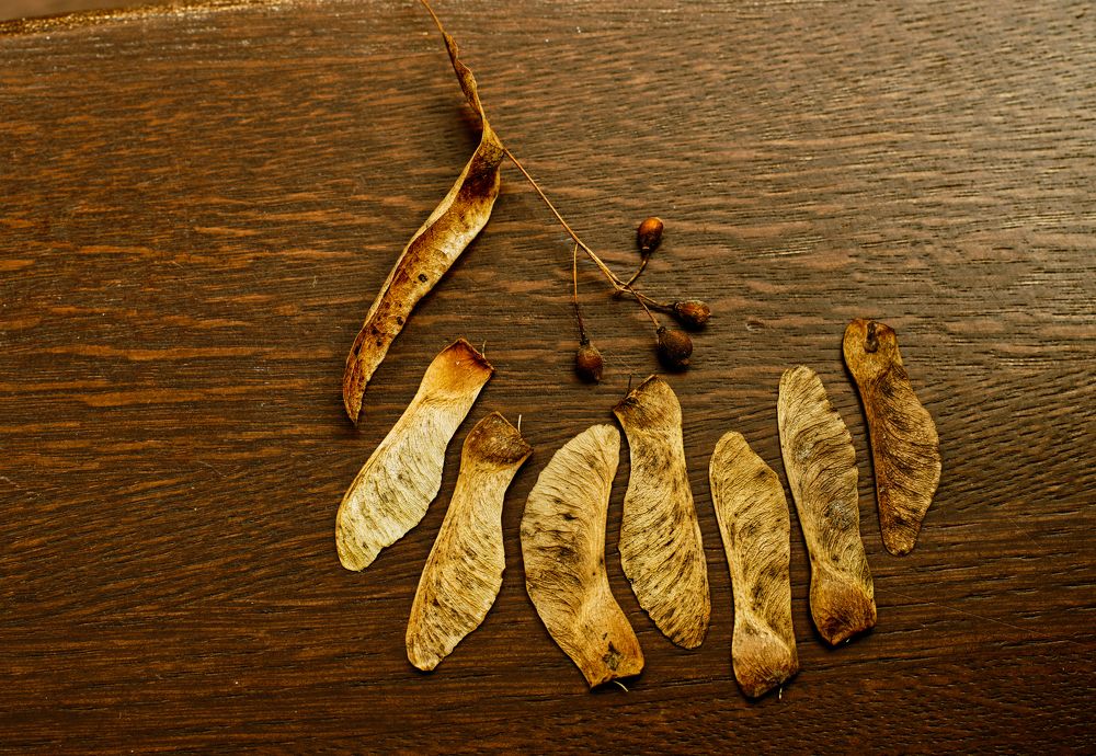 Photograph by Вячеслав Ват