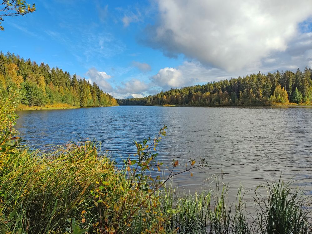 Photograph by Алексей