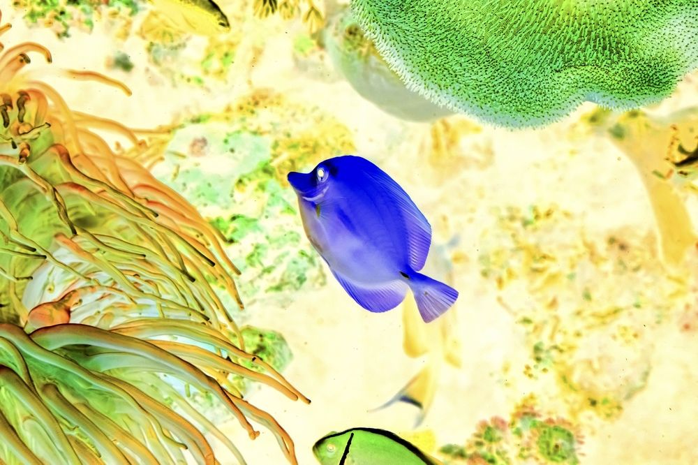 Фотография автора Вера Щербакова