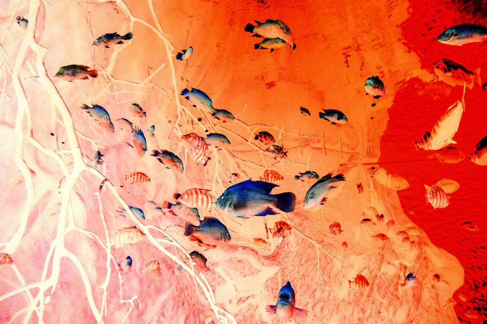 Фотография автора Вера Щербакова