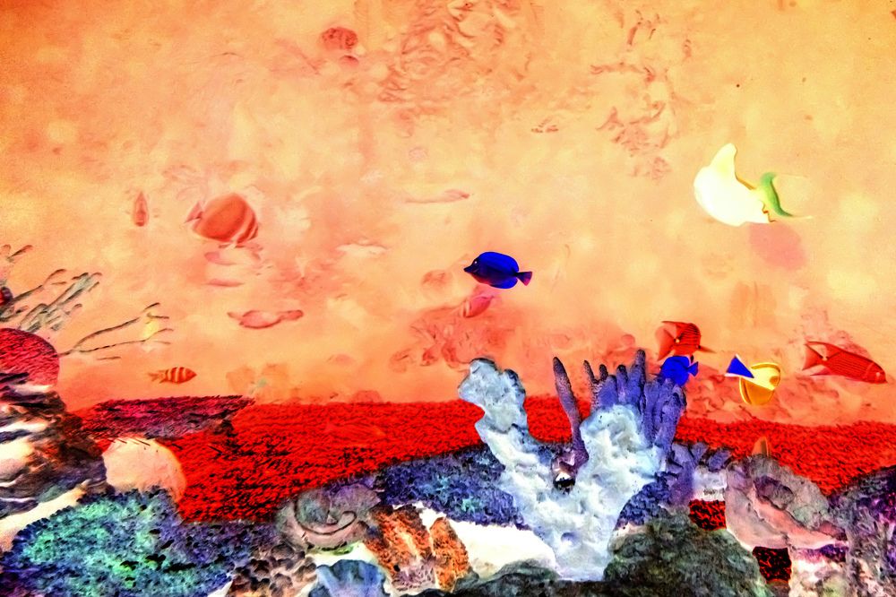 Фотография автора Вера Щербакова