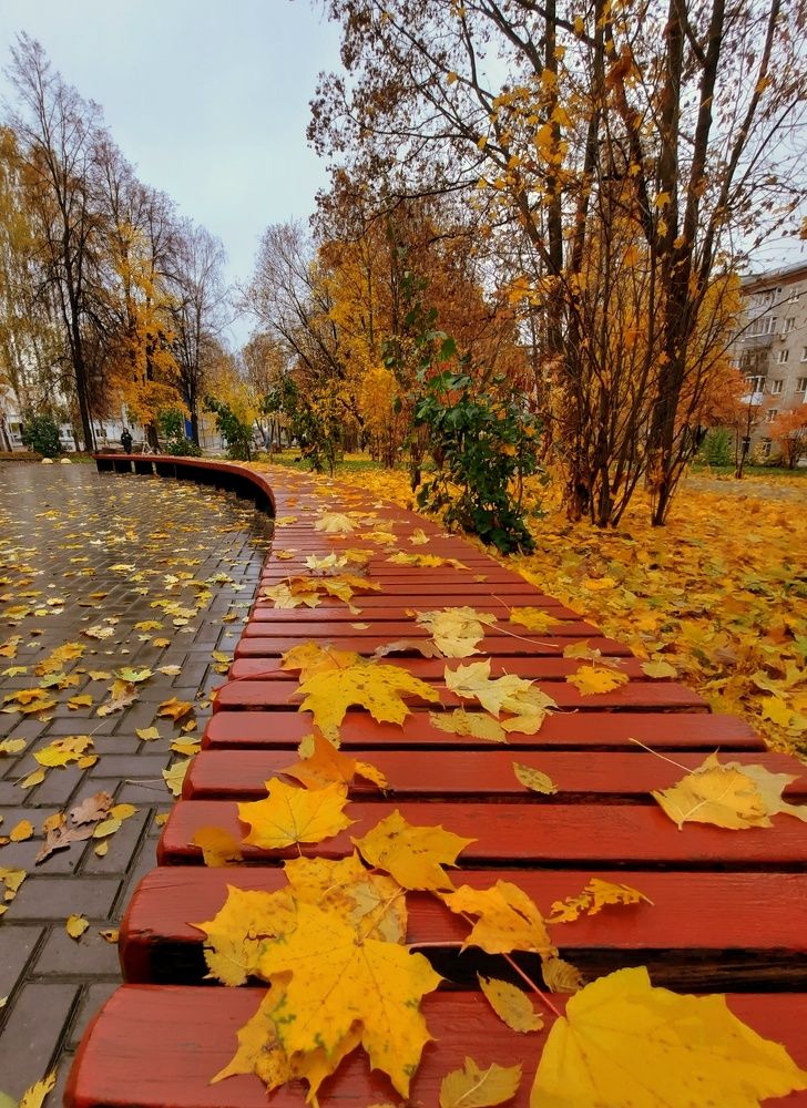 Фотография автора Ольга Кунакова