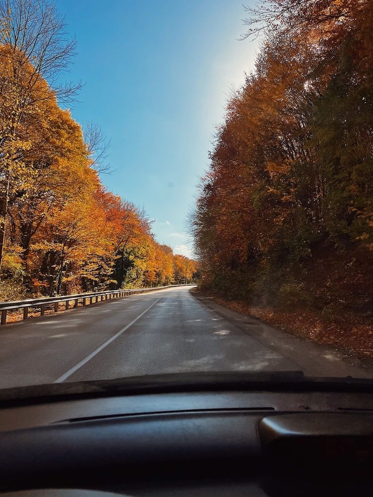 Photograph by Антонина Наговицына