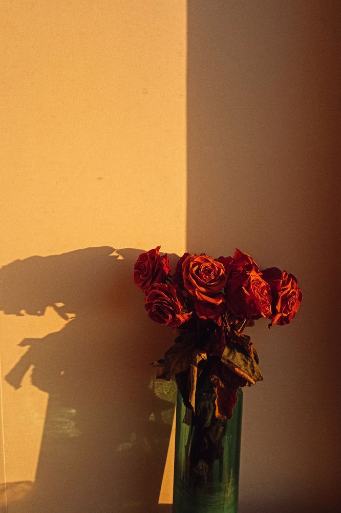 Photograph by Надежда Пидченко