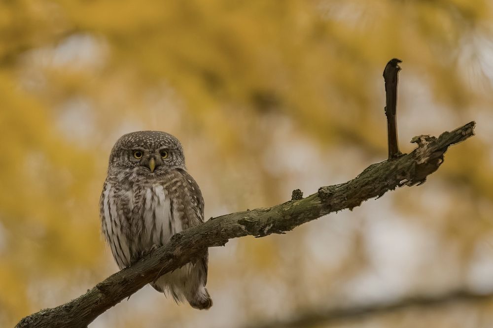 Photograph by Egor Rokita