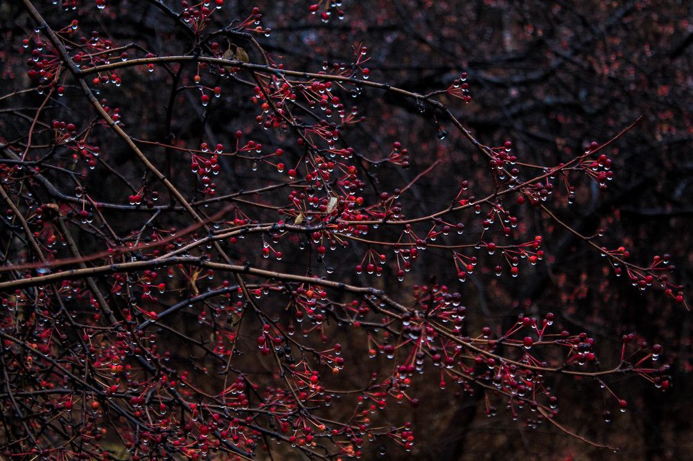 Photograph by Татьяна Титова