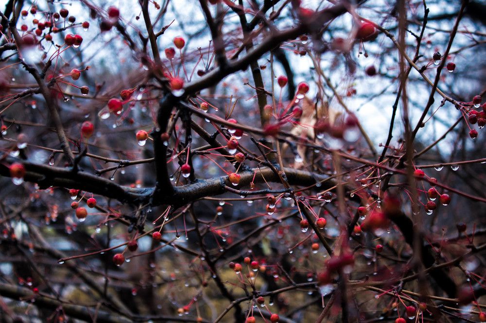 Photograph by Татьяна Титова