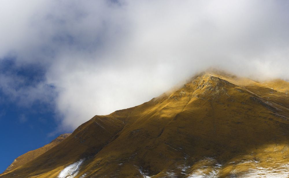 Photograph by Alex Kalpus