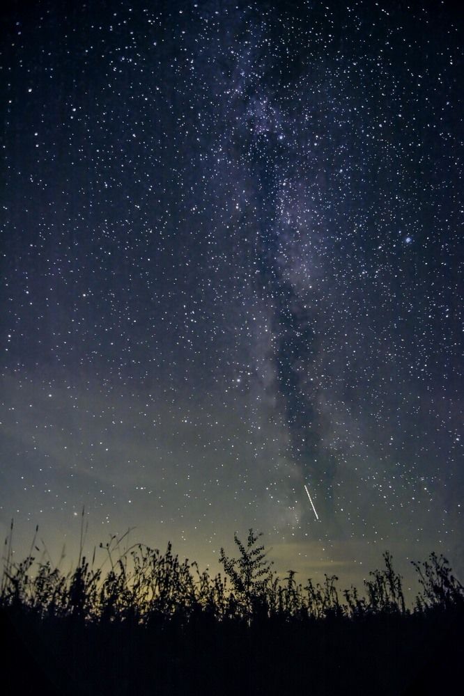 Photograph by Виктор Степанов