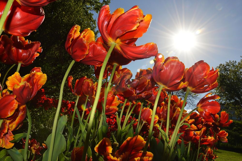 Photograph by Евгений Даниленко