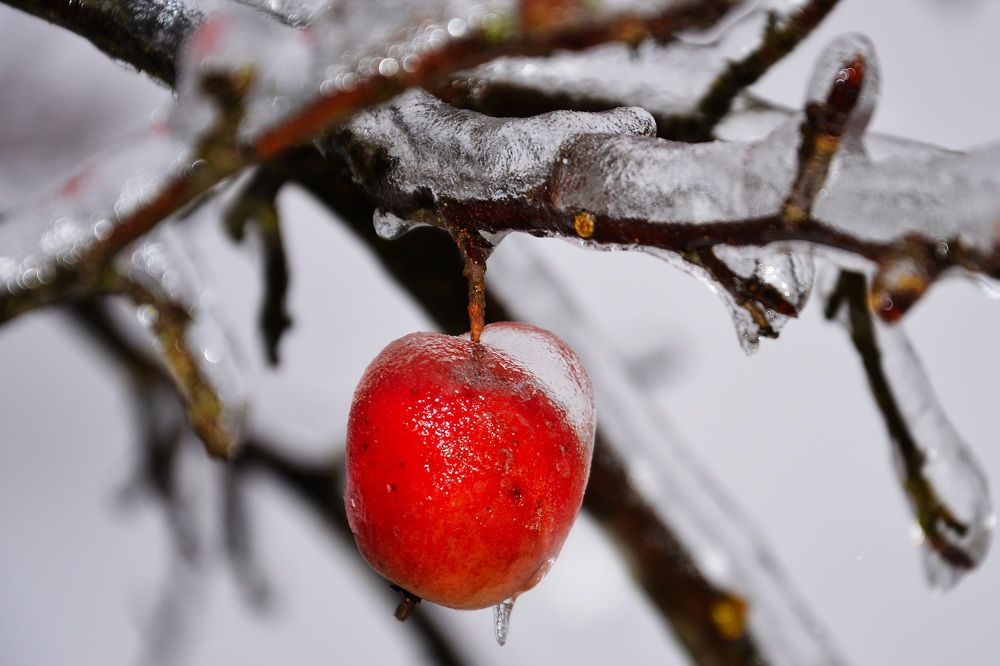Photograph by Евгений Даниленко