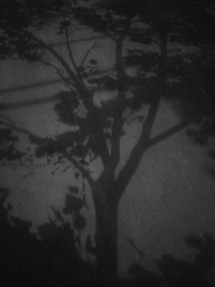 Photograph by Гульжан Шарипова