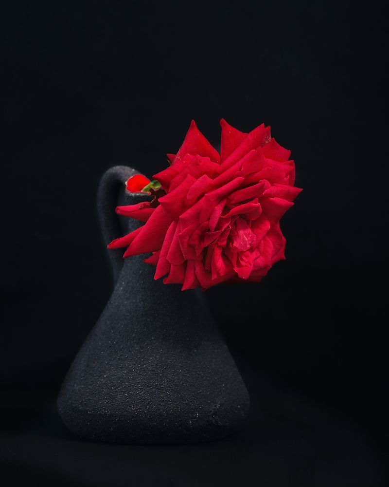 Photograph by Людмила Ефремова