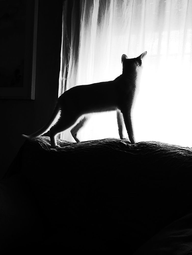 Photo #8347942