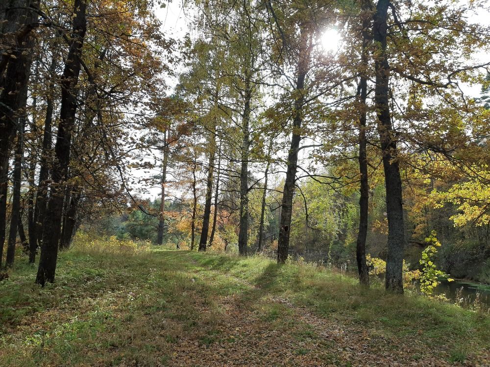 Photograph by Сергей Александрович