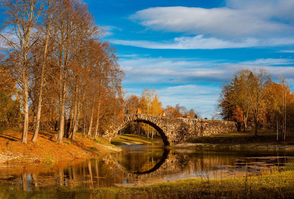 Photograph by Ирина Ларина