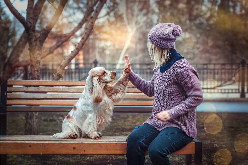 Photograph by Елена Савченкова
