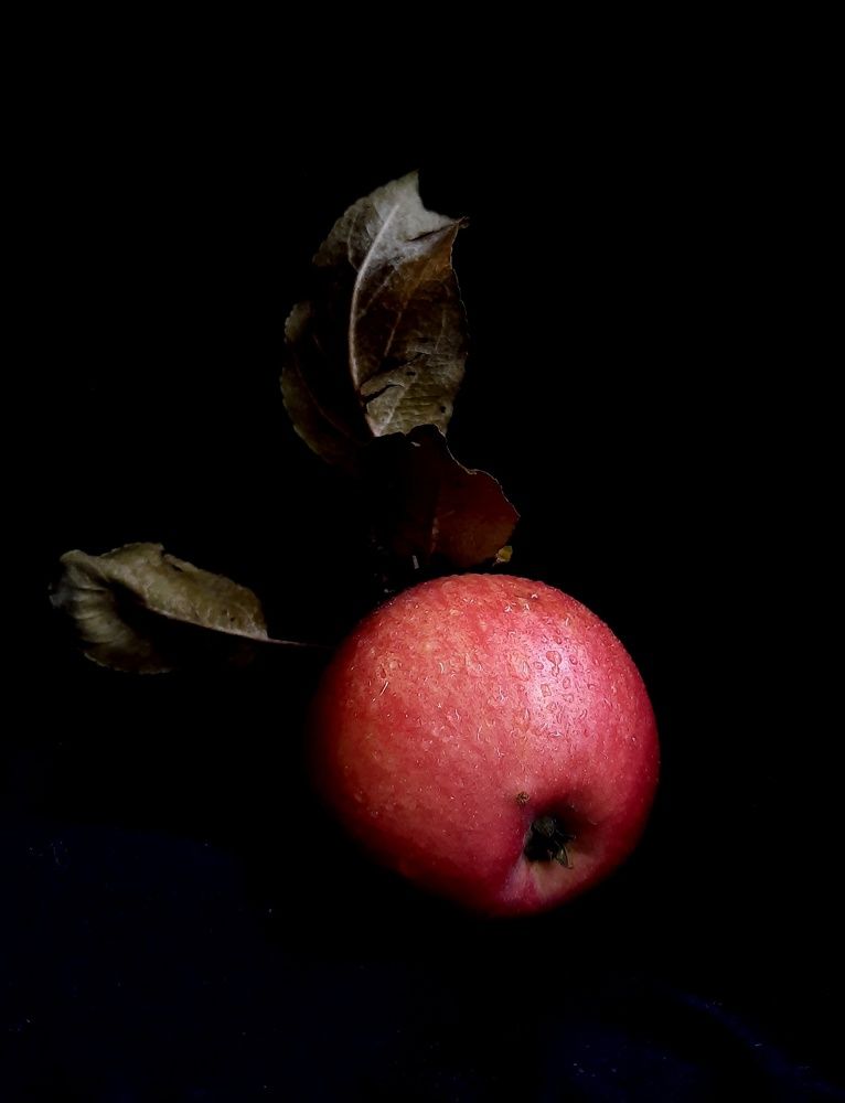 Фотография автора Ольга Кунакова