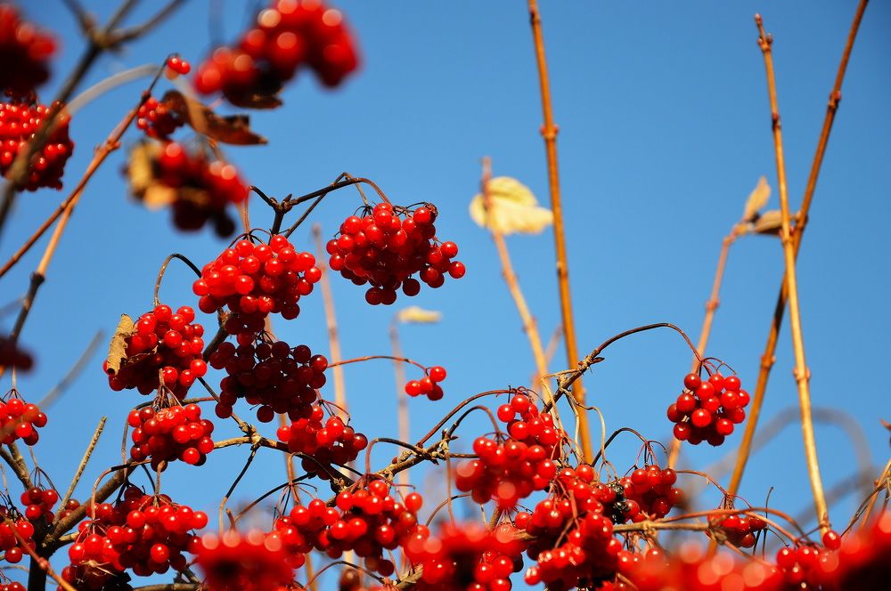 Photograph by Евгений Даниленко
